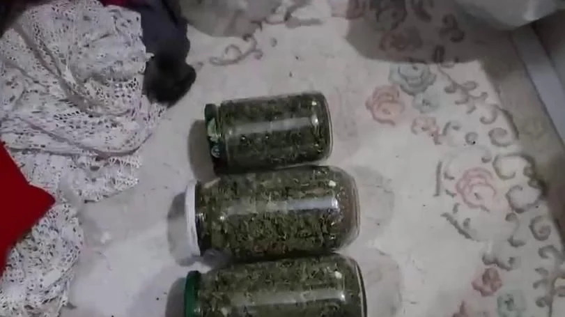 Jandarmadan Sapanca'da Hırsızlık ve Uyuşturucu Operasyonu: 3 Gözaltı