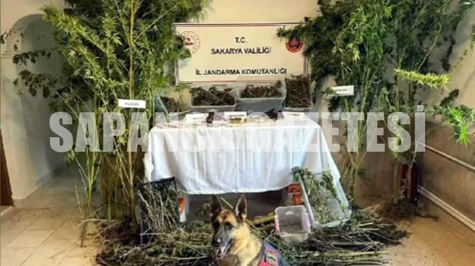 Sapanca'da Uyuşturucu Operasyonu
