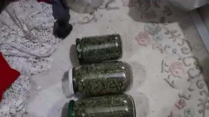 Jandarmadan Sapanca'da Hırsızlık ve Uyuşturucu Operasyonu: 3 Gözaltı