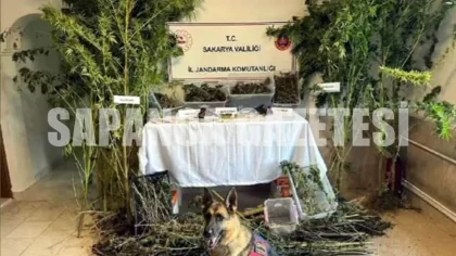 Sapanca'da Uyuşturucu Operasyonu