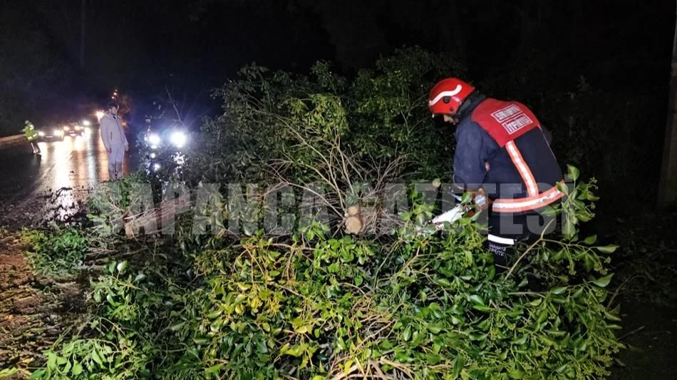 Sapanca Adapazarı Karayoluna Devrilen Ağaç Yolu Kapattı