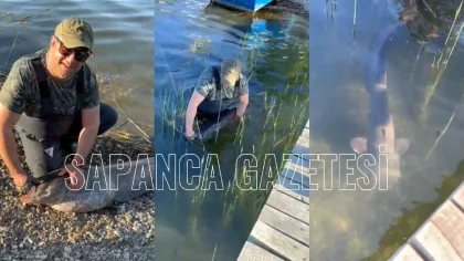 Sapanca'da Yakalanan 24 Kiloluk Yayın Balığı Tekrar Göle Salındı