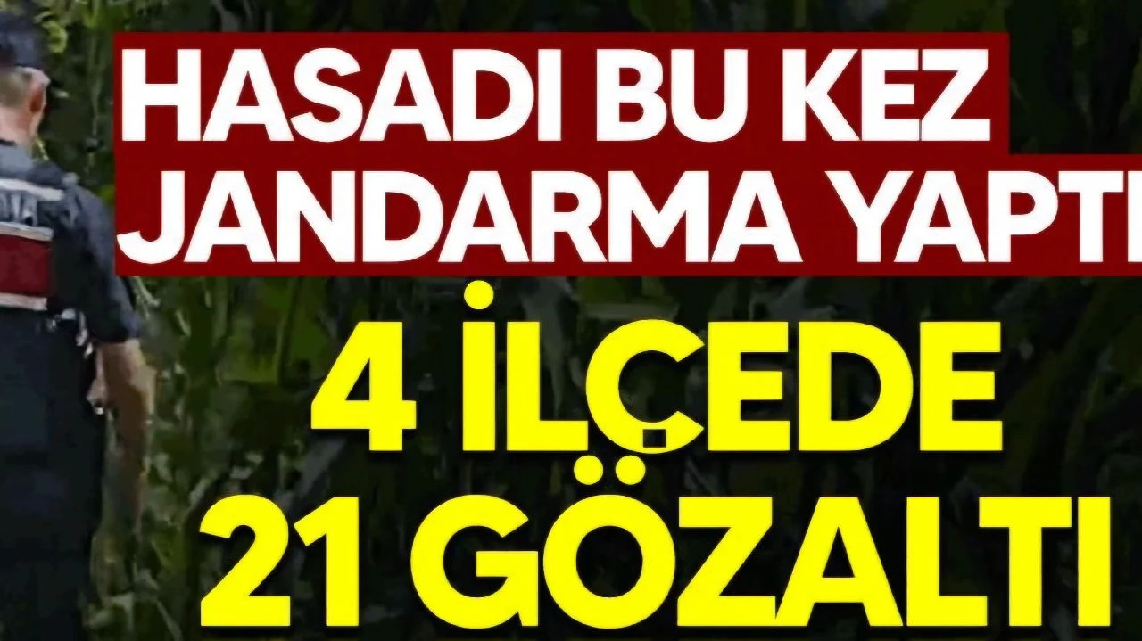 Jandarmadan Uyuşturucu Operasyonu