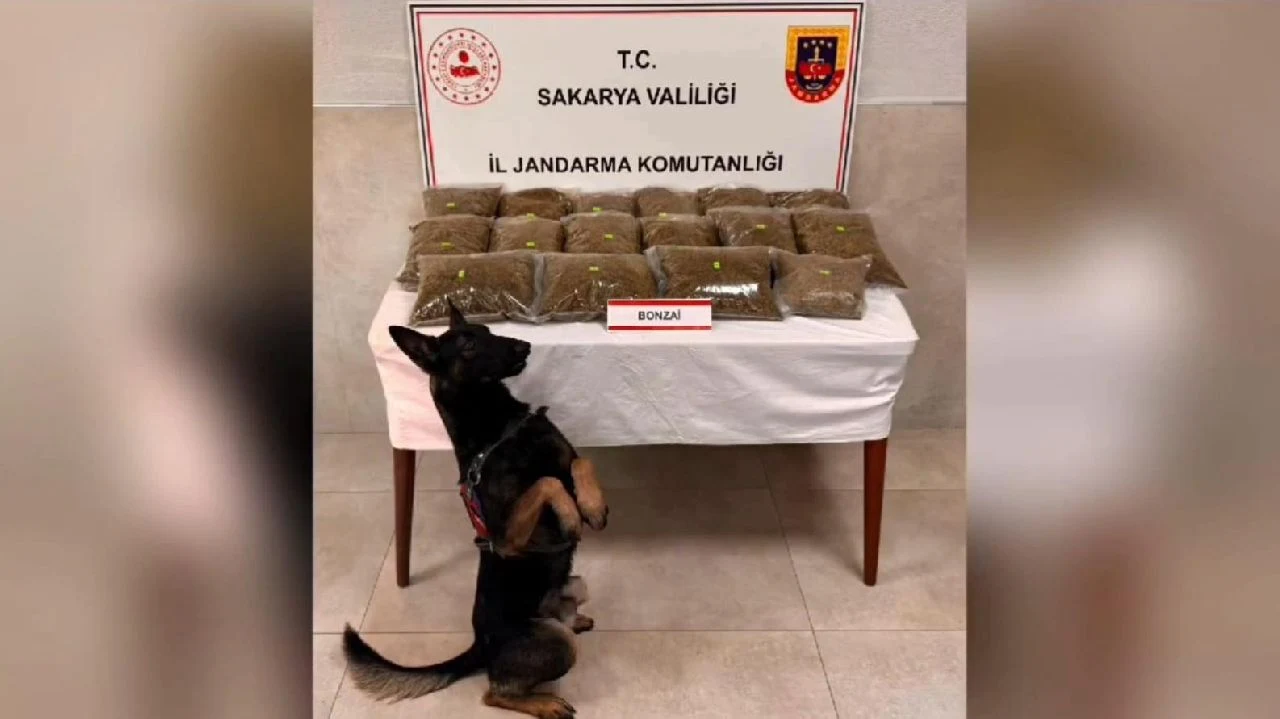 Sapanca'da 20 Kilo Uyuşturucu Madde Ele Geçirdi
