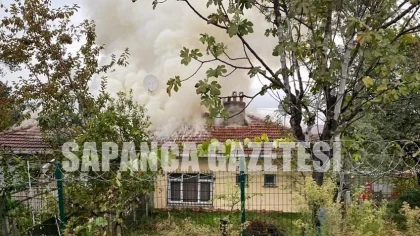 Sapanca'da Korkutan Yangın