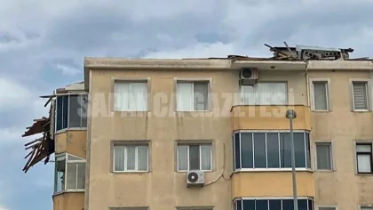 Sapanca'da Kuvvetli Rüzgar Çatı Uçurdu, Ağaçları Devirdi