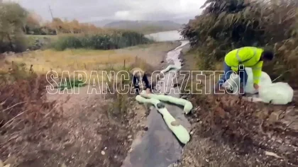 Sapanca Gölü'ne Akan Akaryakıt için Ekipler Seferber Oldu