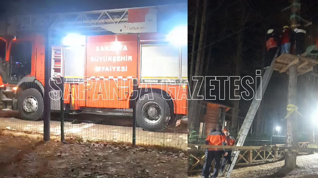 Eğlence Parkurunda Çıktığı Ağaçta Mahsur Kaldı