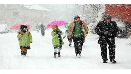 Sakarya'da Kar Tatili! Tüm Okullarda Eğitime Bir Gün Ara Verildi!