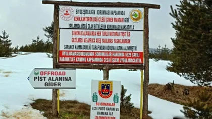 Yayladaki Bitkiler Bio Çeşitlilik Kapsamında Koruma Altına Alındı