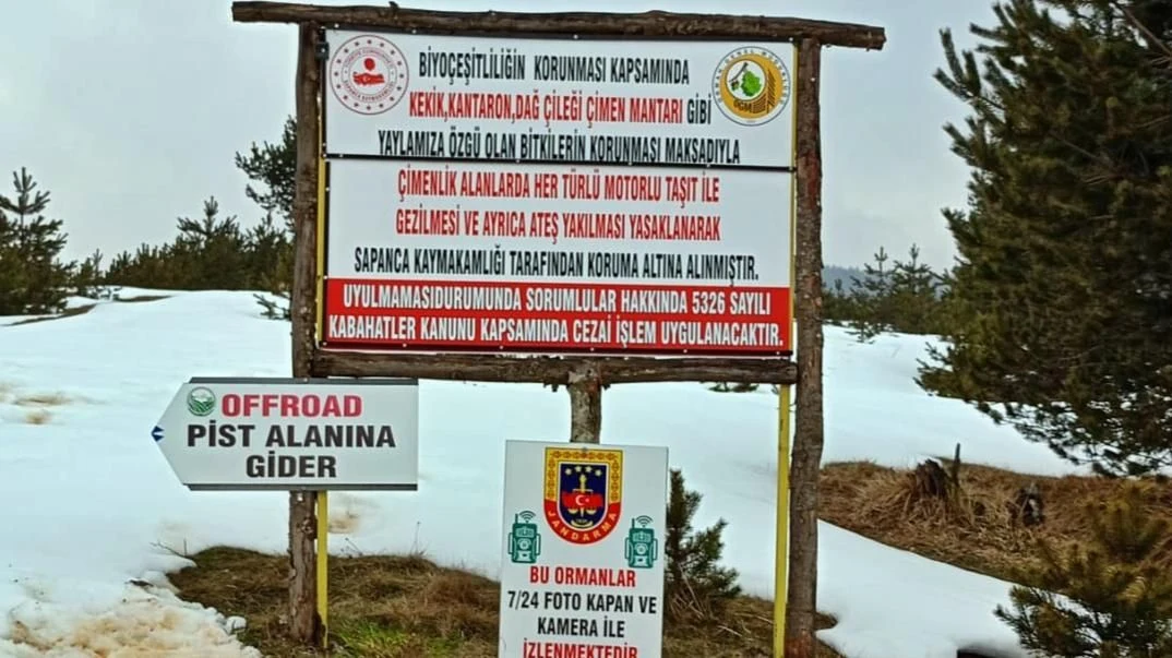 Yayladaki Bitkiler Bio Çeşitlilik Kapsamında Koruma Altına Alındı