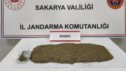 Sapanca'da Torbacı Operasyonu: 1 Tutuklama