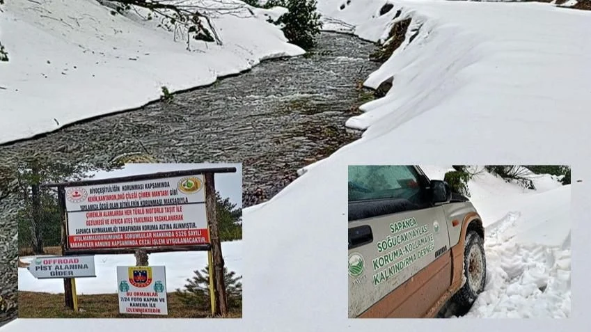 Sapanca'nın Zirvelerine Kar Yağdı! Endemik Bitkilere Dikkat!
