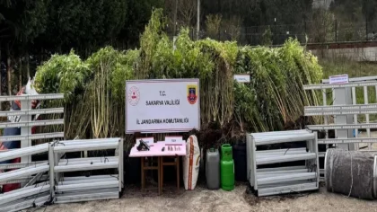 Sapanca ve Arifiye'de Uyuşturucu Operasyonu: 1 Tutuklama