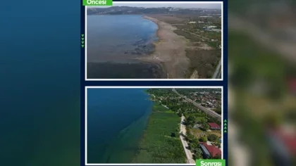 Sapanca Gölü'nde Sağlıklı Sazlıklar Yeniden Oluşmaya Başladı