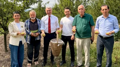 Sapanca Kastarcı Eriği Tescilleniyor