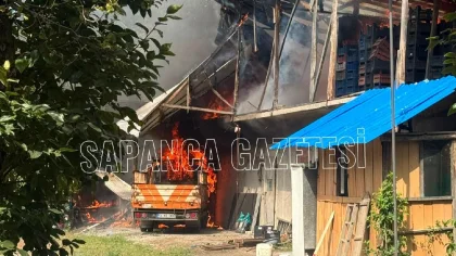 Sapanca'da Korkutan Yangın