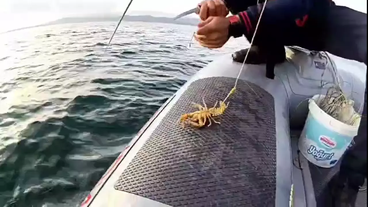 Sapanca Gölü'nde Kaçak Avcılık Yapanlara 32 Bin TL Ceza