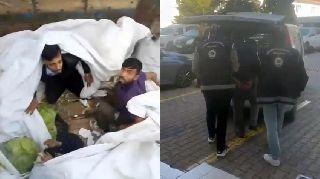 KAÇAK GÖÇMENLER BRANDANIN ALTINDA SOBELENDİ