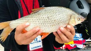 SAPANCA GÖLÜNDE KIZILKANAT YARIŞMASI DÜZENLENDİ