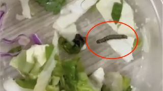 CHP SAPANCA'DAN KYK KIZ ÖĞRENCİ YURDU HAKKINDA AÇIKLAMA