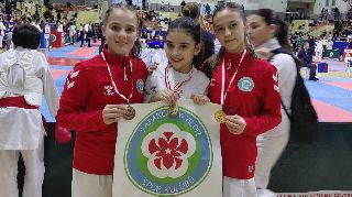 SAPANCA AYYILDIZ'DAN HENDEK'TE 8 MADALYA