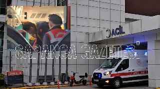 16537 nolu sürmanşet