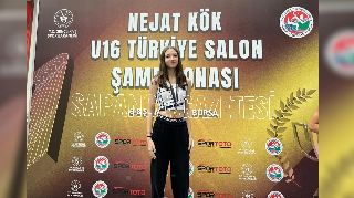 16543 nolu sürmanşet