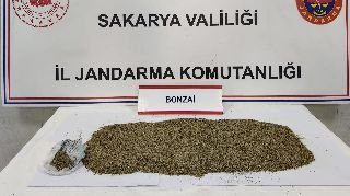 SAPANCA'DA TORBACI OPERASYONU: 1 TUTUKLAMA