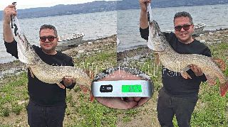 SAPANCA GÖLÜ'NDE TURNA SEZONU BEREKETLİ BAŞLADI!