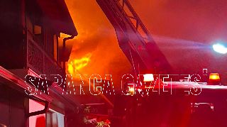SAPANCA'DA GECEYİ ALEVLER AYDINLATTI